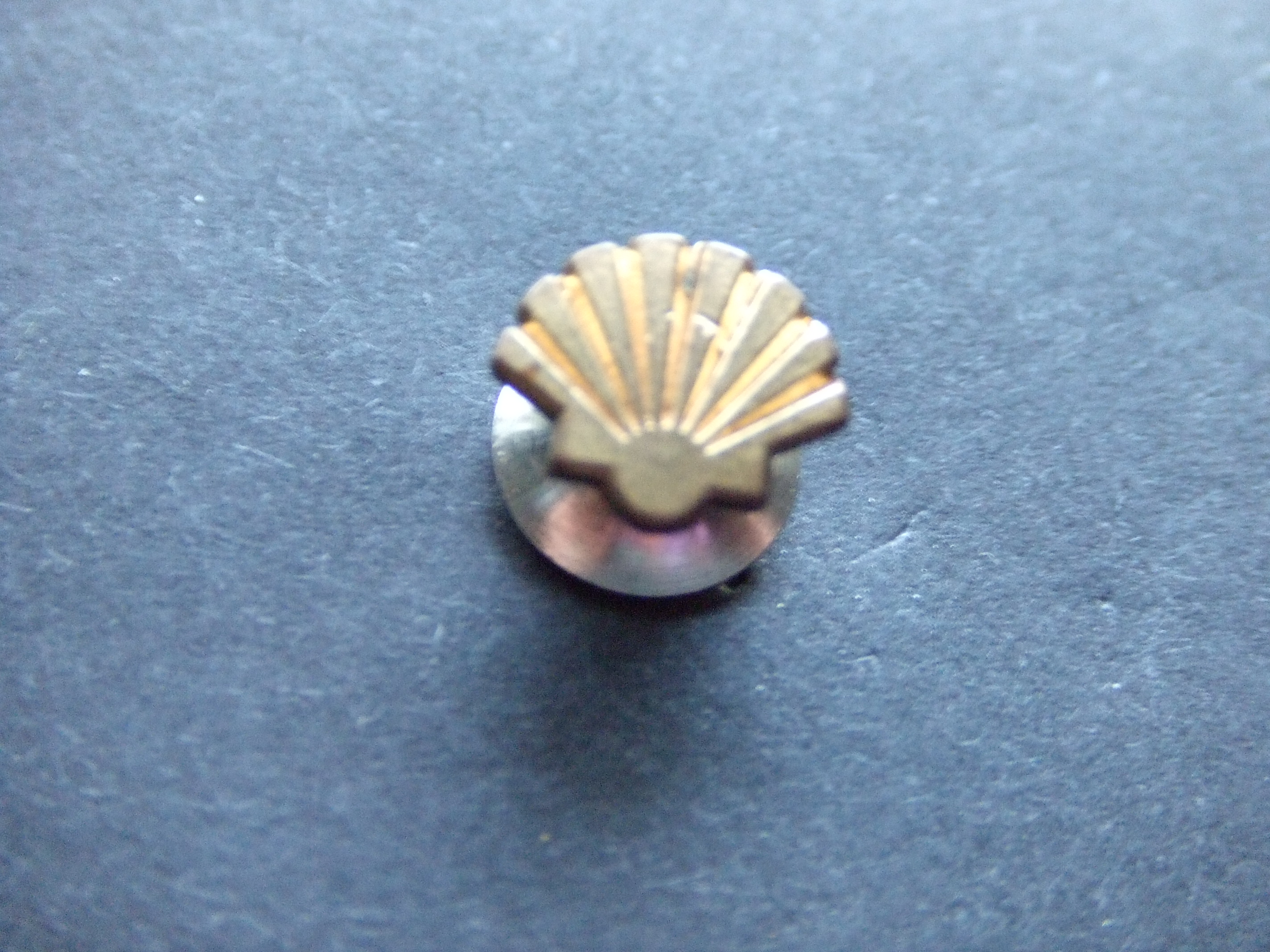 Shell schelp goudkleurige pin met schroefdop